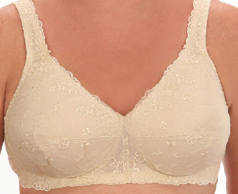 Dream lace bra